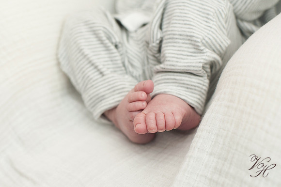 Jacksonville Newborn Photos-19