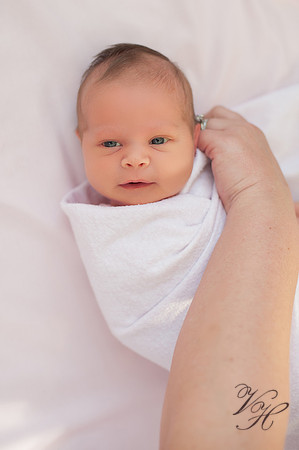Jacksonville Newborn & Family Photos-8