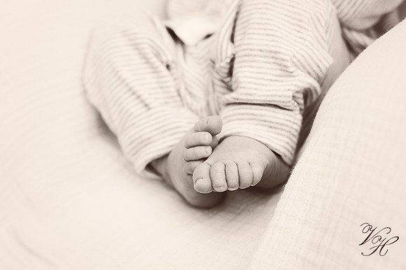 Jacksonville Newborn Photos-20
