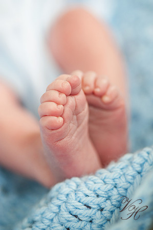 Jacksonville Family & Newborn Photos-52