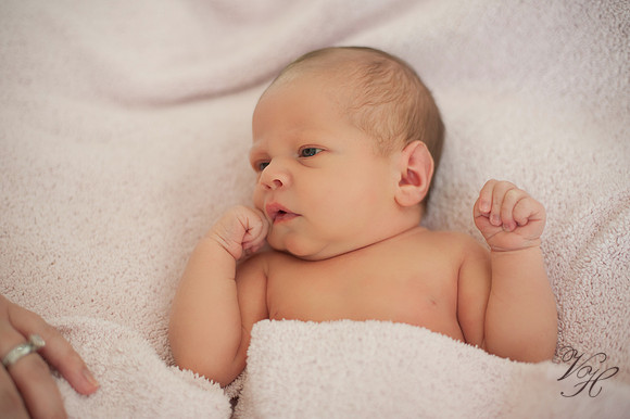 Jacksonville Newborn & Family Photos-4