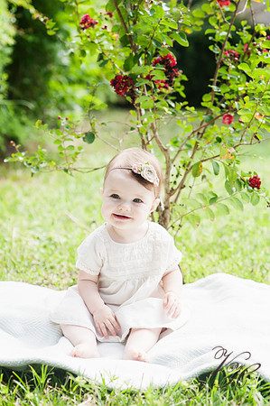 Camelia Jane-5