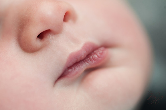 Jacksonville Newborn Photos-10