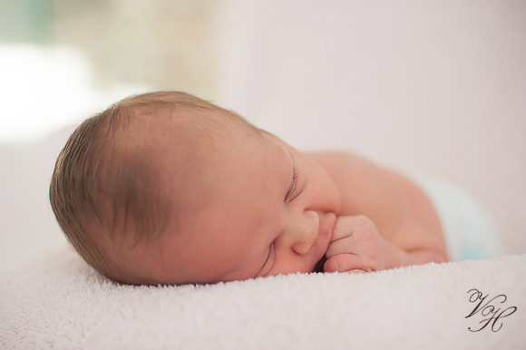 Jacksonville Newborn & Family Photos-1