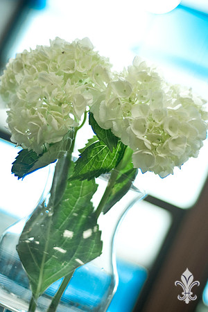 BorofskyWedding-67