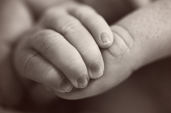 Jacksonville Family & Newborn Photos-65