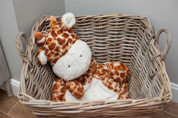 Newborn Photos-6