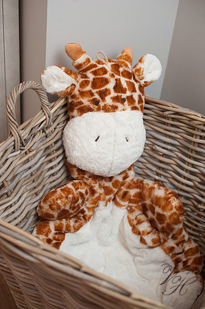 Newborn Photos-14