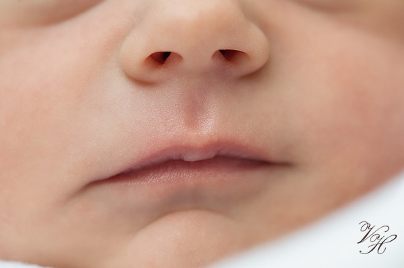Newborn Photos-73