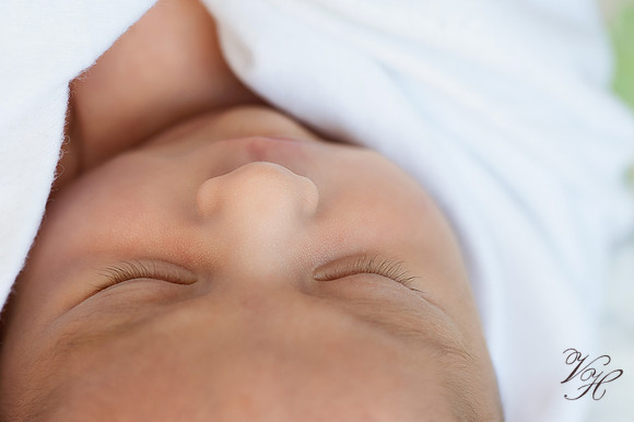 Newborn Photos-74
