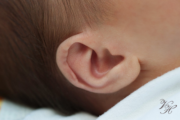 Newborn Photos-75