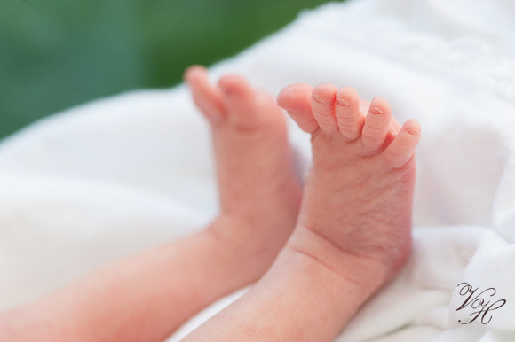 Newborn Photos-82