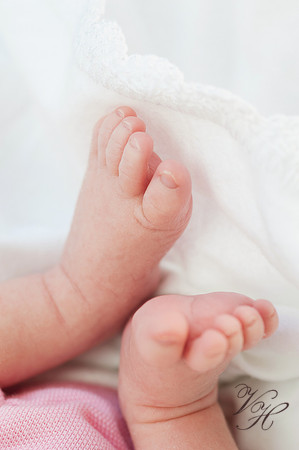 Newborn Photos-83