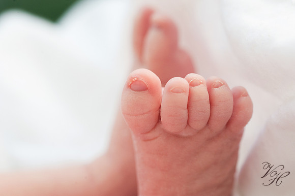 Newborn Photos-84