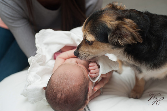 Newborn Photos-111