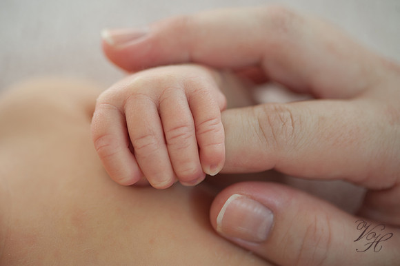 Jacksonville Newborn & Family Photos-37