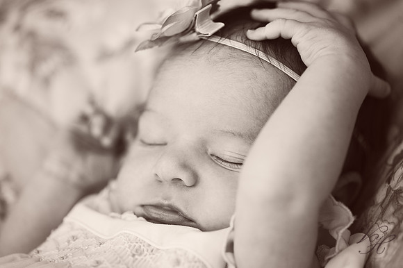 JacksonvilleFamilyPhotographer-1