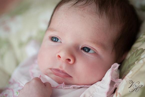 JacksonvilleFamilyPhotographer-5