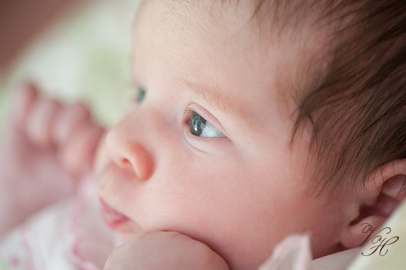 JacksonvilleFamilyPhotographer-6