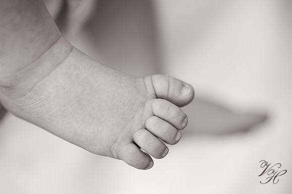 JacksonvilleFamilyPhotographer-72