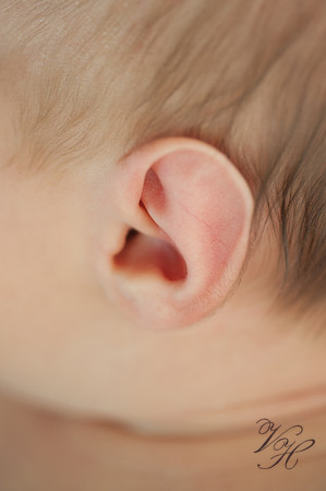 Jacksonville Newborn & Family Photos-38
