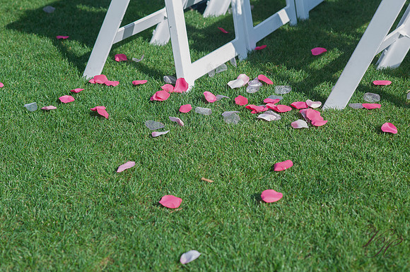 Sandusky.Wedding-14
