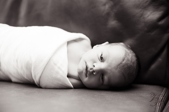 Olivia-100