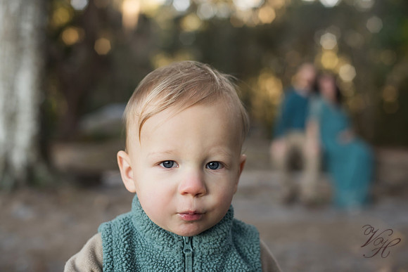 Owen-155
