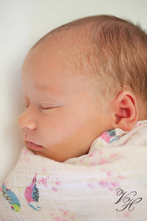 Lifestyle Newborn Photography-160