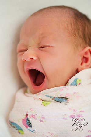 Lifestyle Newborn Photography-163