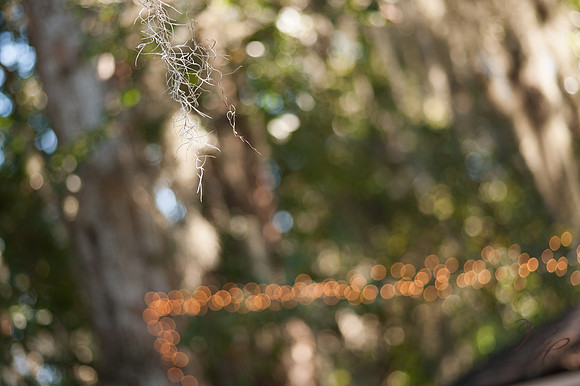 JacksonvilleWeddingPhotography-145