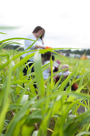 Hodges-71