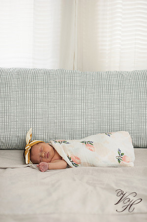 Jacksonville Lifestyle Photography-145