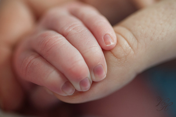 Jacksonville Family & Newborn Photos-64