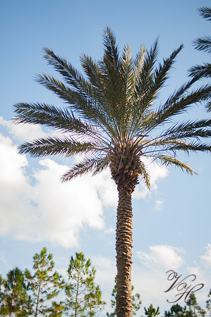 JacksonvilleWeddingPhotography-111