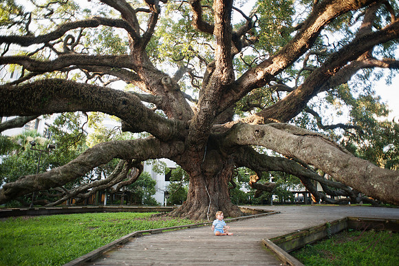 Oak-59