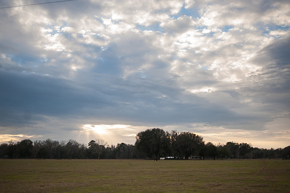 JacksonvilleFamilyPhotography-78