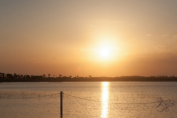Jacksonville Children's Photography-1