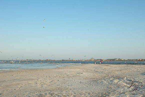 Jacksonville Children's Photography-114