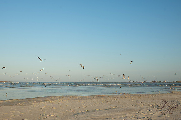 Jacksonville Children's Photography-115