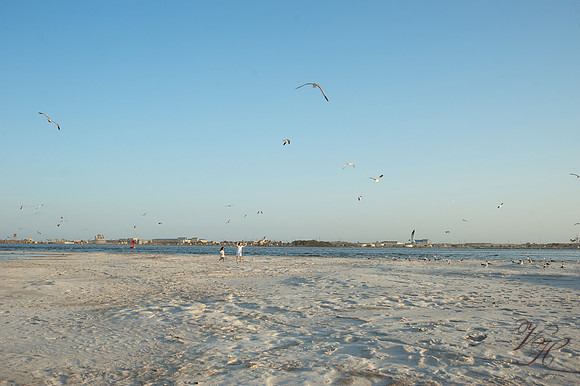 Jacksonville Children's Photography-116