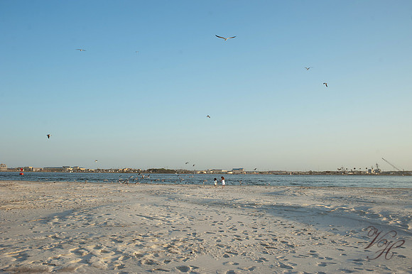 Jacksonville Children's Photography-117