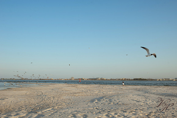 Jacksonville Children's Photography-118