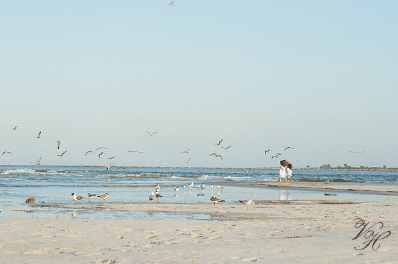 Jacksonville Children's Photography-125