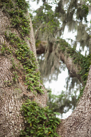 Jacksonville Senior Portraits-87