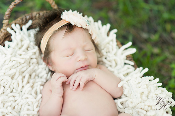 Jacksonville Family Photos-52
