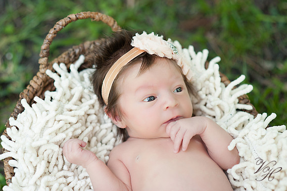 Jacksonville Family Photos-53