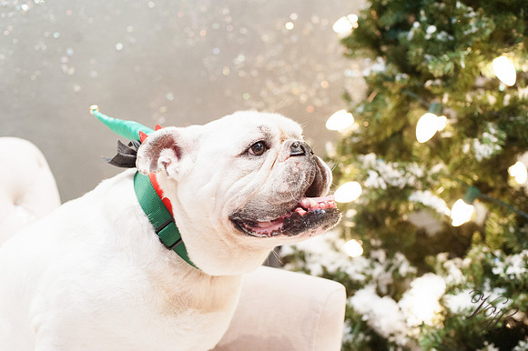West Elm-48