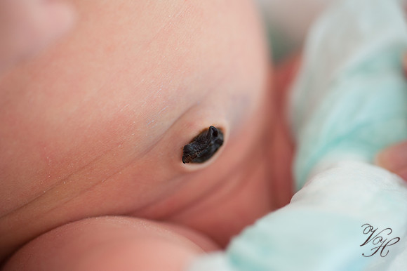 Jacksonville Newborn & Family Photos-43