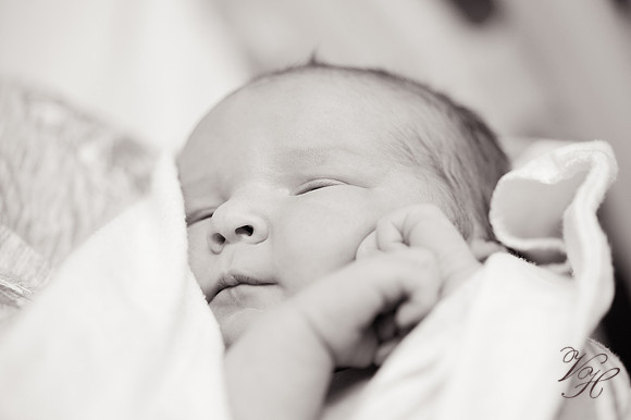 Amelia.bw-134